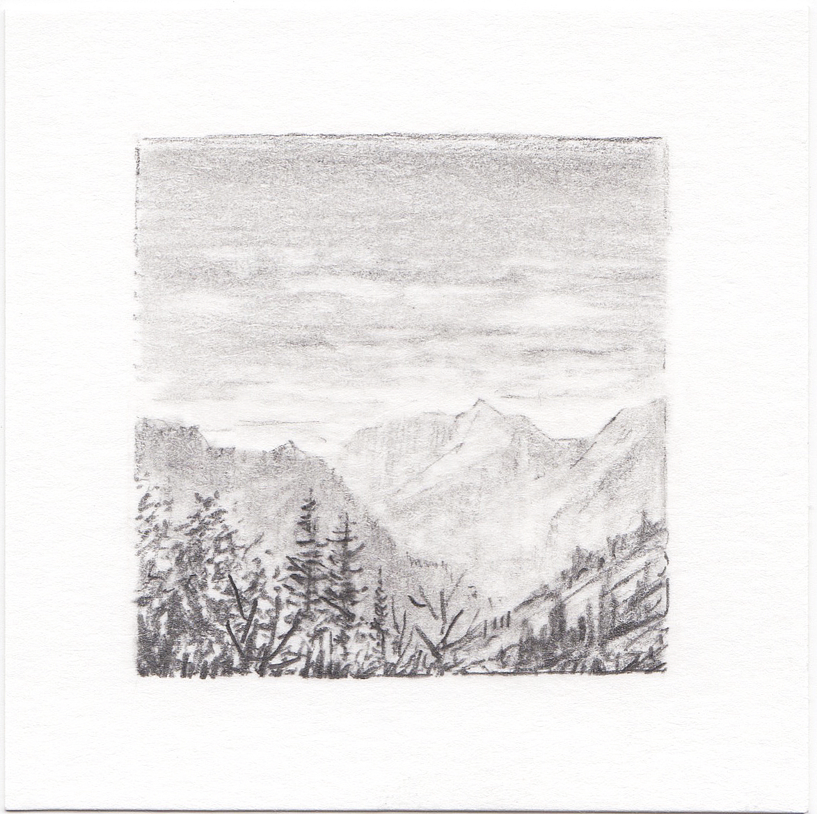 #41 Yosemite National Park, California | 3x3 | graphite