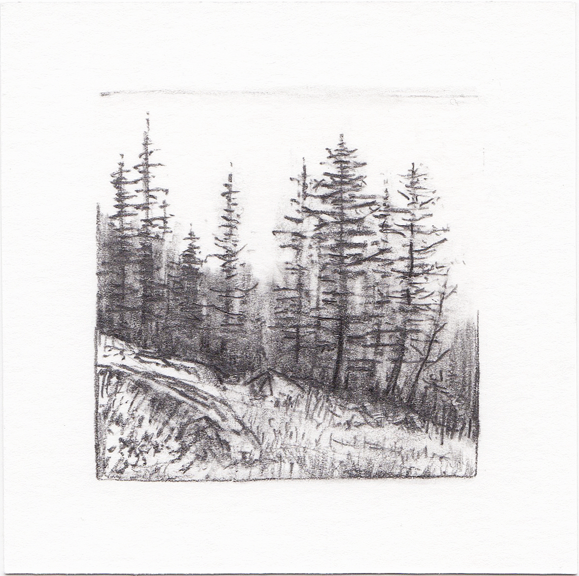 #42 Catherine’s Pass, Albian Basin, Utah | 3x3 | graphite