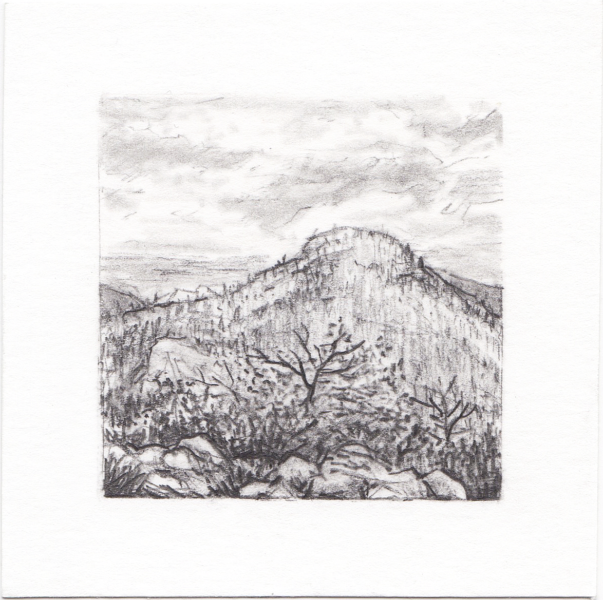 #45 Yosemite National Park, California | 3x3 | graphite