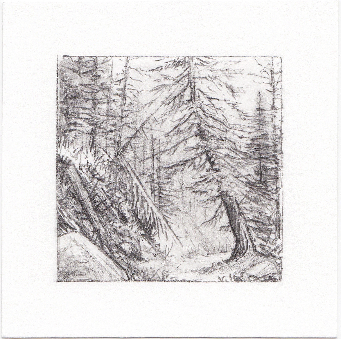 #64 Mill D South Fork, Big Cottonwood Canyon, Utah | 3x3 | graphite