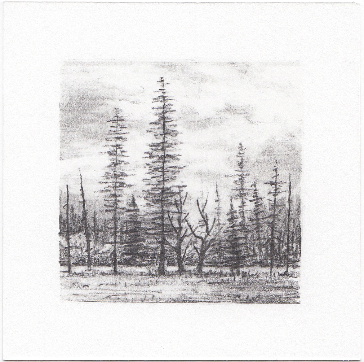 #65 Yosemite National Park, California | 3x3 | graphite