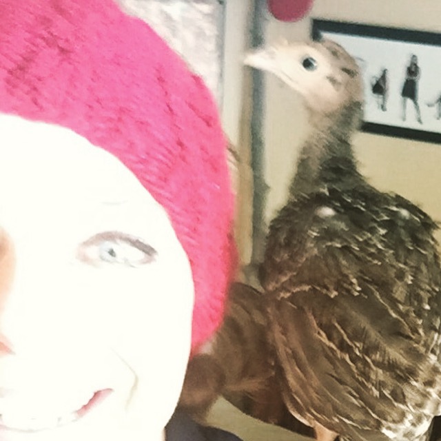 Taken April 10, The babies can still hang out on my shoulder! 