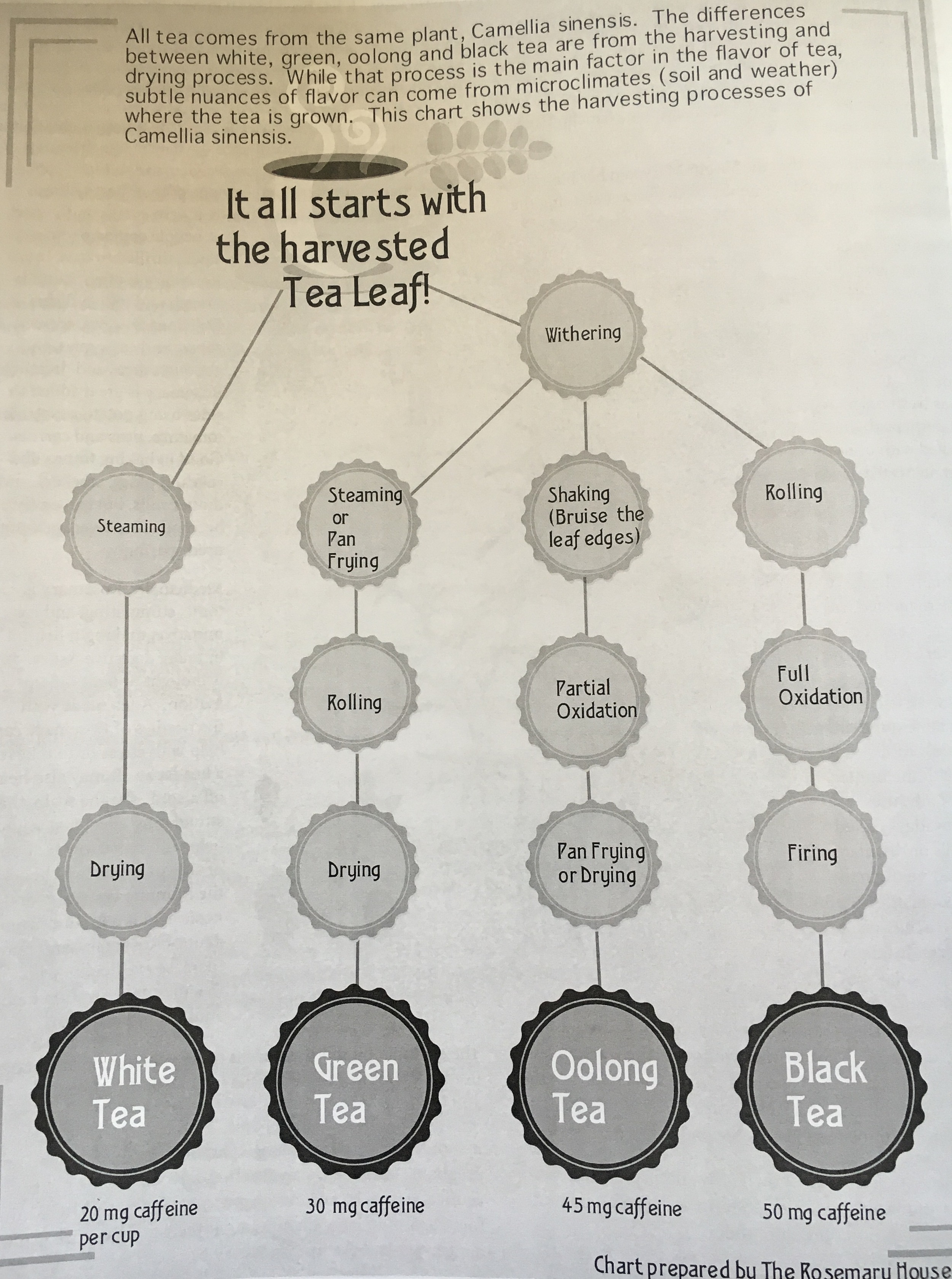 Here is this very cool chart from The Rosemary House.