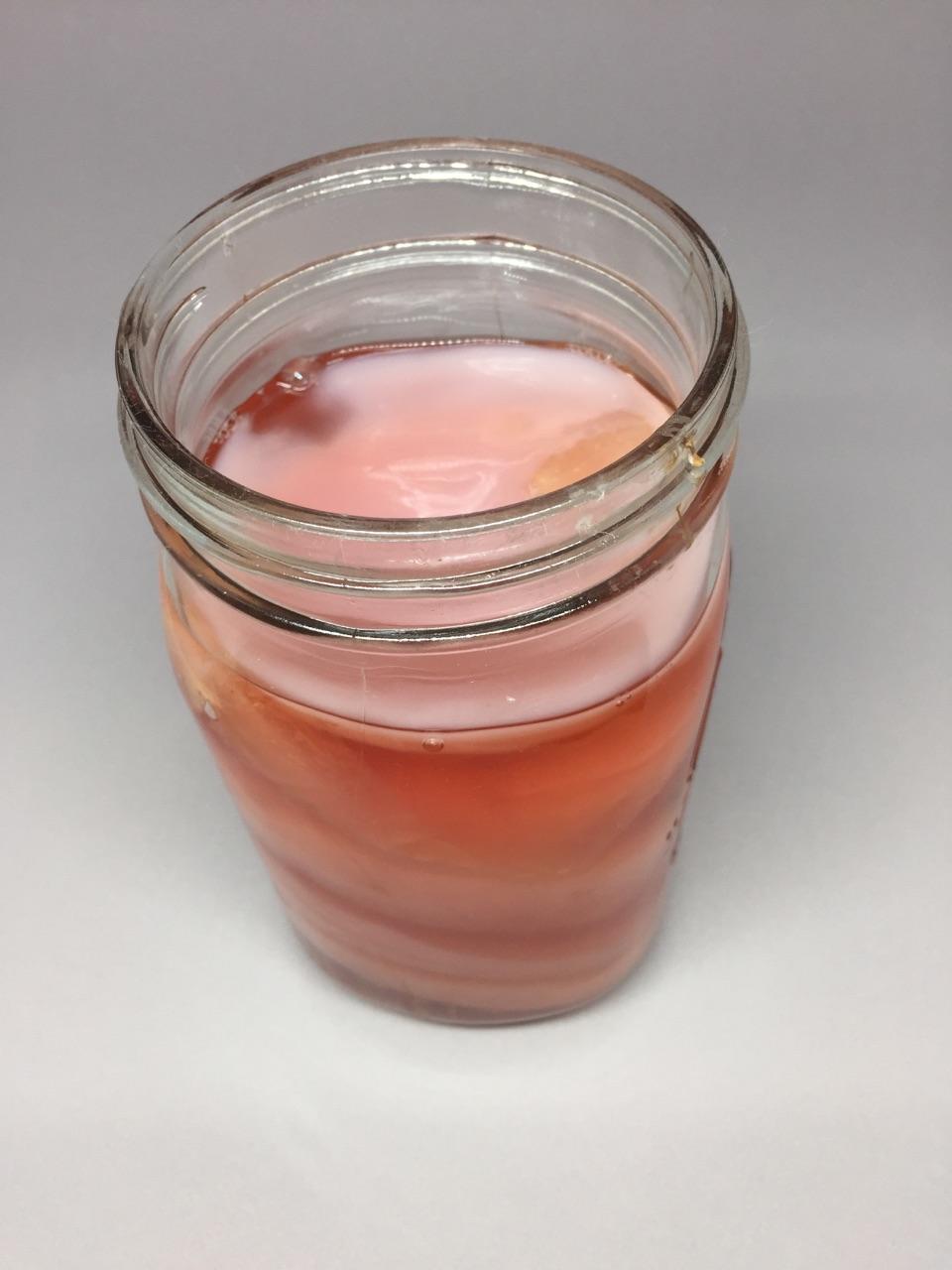 Here are several healthy SCOBYs being saved in a SCOBY 