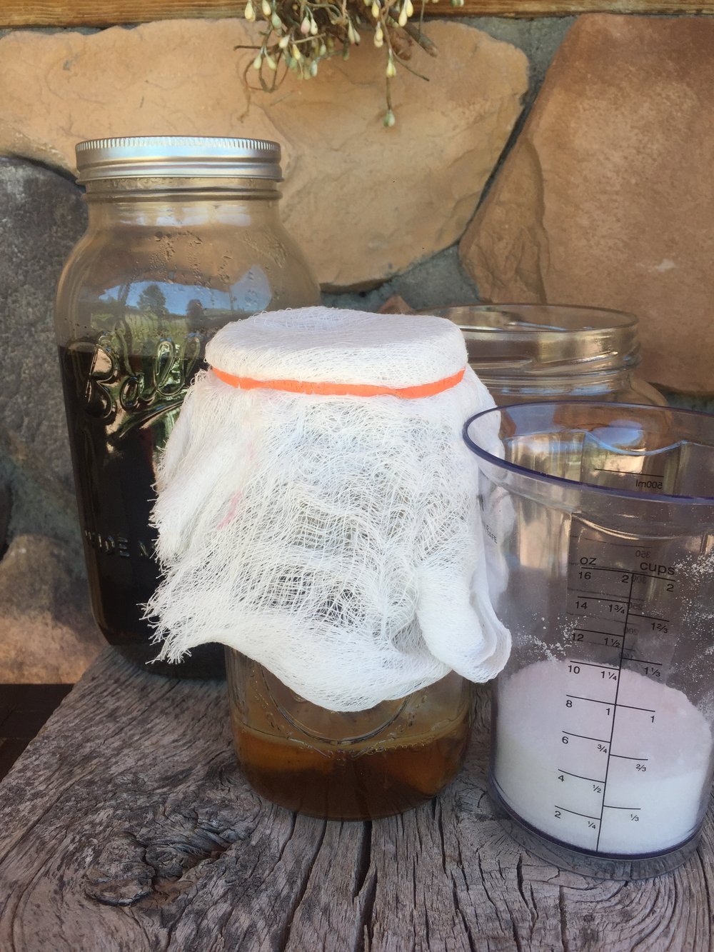 Brewed black tea in the background, a SCOBY and starter in the cheesecloth-covered jar, half cup of sugar (for one-half gallon of kombucha), and the wide-mouth jar I plan to use.
