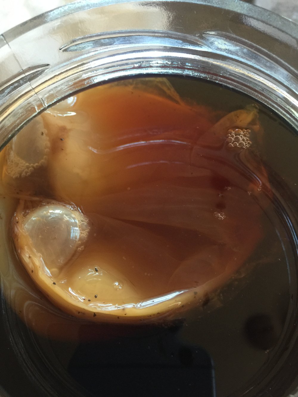 Here is my SCOBY floating at the top of the brew. It's fine if it floats, or it may sink to the bottom. It's all good. As long as you see bubbles in a few days, you're fine! Over the next few days, you will notice your SCOBY floating to the top! That's a great sign!