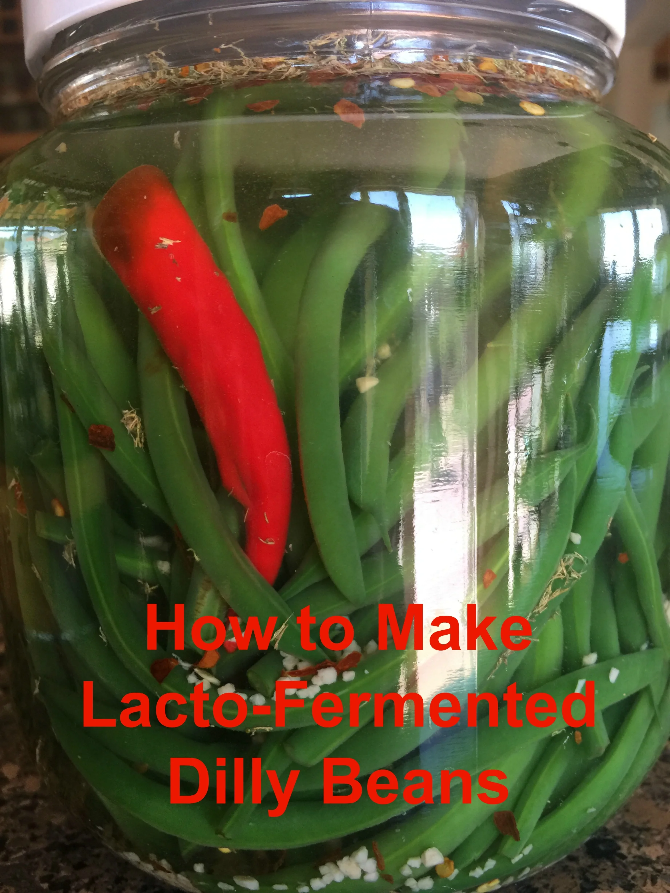 Now it just has to ferment for several days! This is the fun part! 
