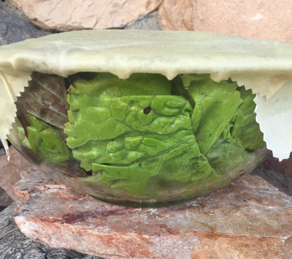 This is the large wrap covering a larger size bowl of lettuce. Yep! After I picked this lettuce from the garden, my first thought was to go grab the gallon size zip lock bags! NOPE! No More! I can now store my lettuce just fine in my glass bowls----and then I can use them for the salad too when I'm ready! Yay! :-)