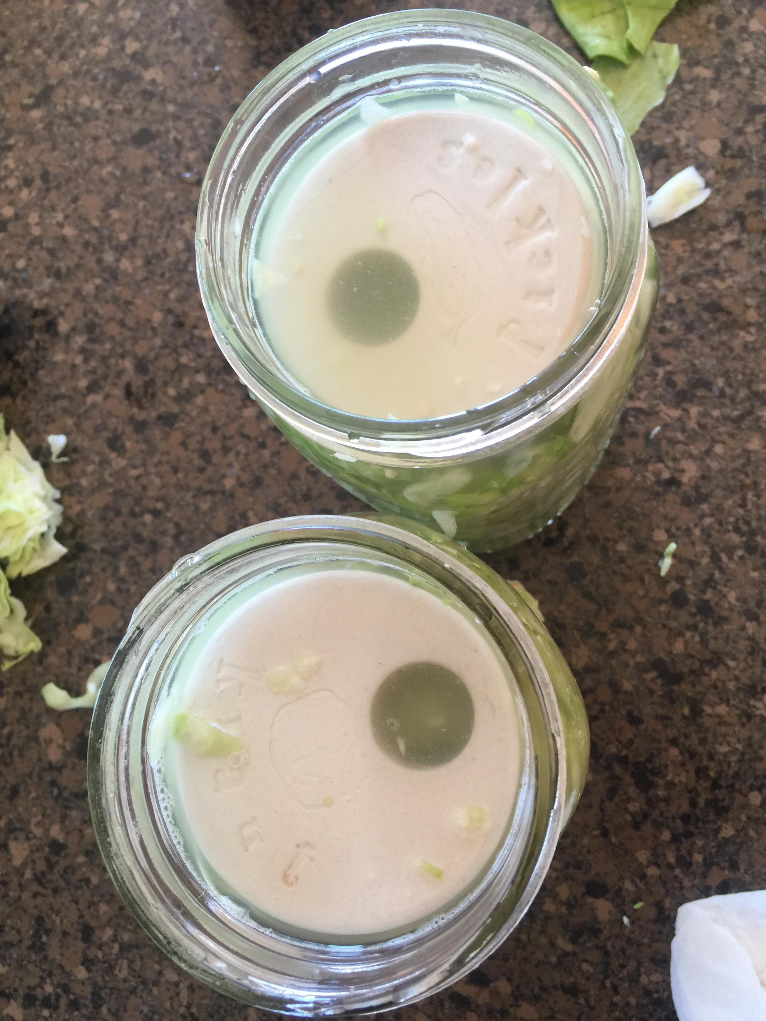 A bird's eye view into the Mason Jar. I'm using quart size here. What you see here are the weights I use for Mason jar fermentation. They fit perfectly, are ceramic and fairly heavy. They beat using a boiled rock! :-) You can see them in the link below too. 