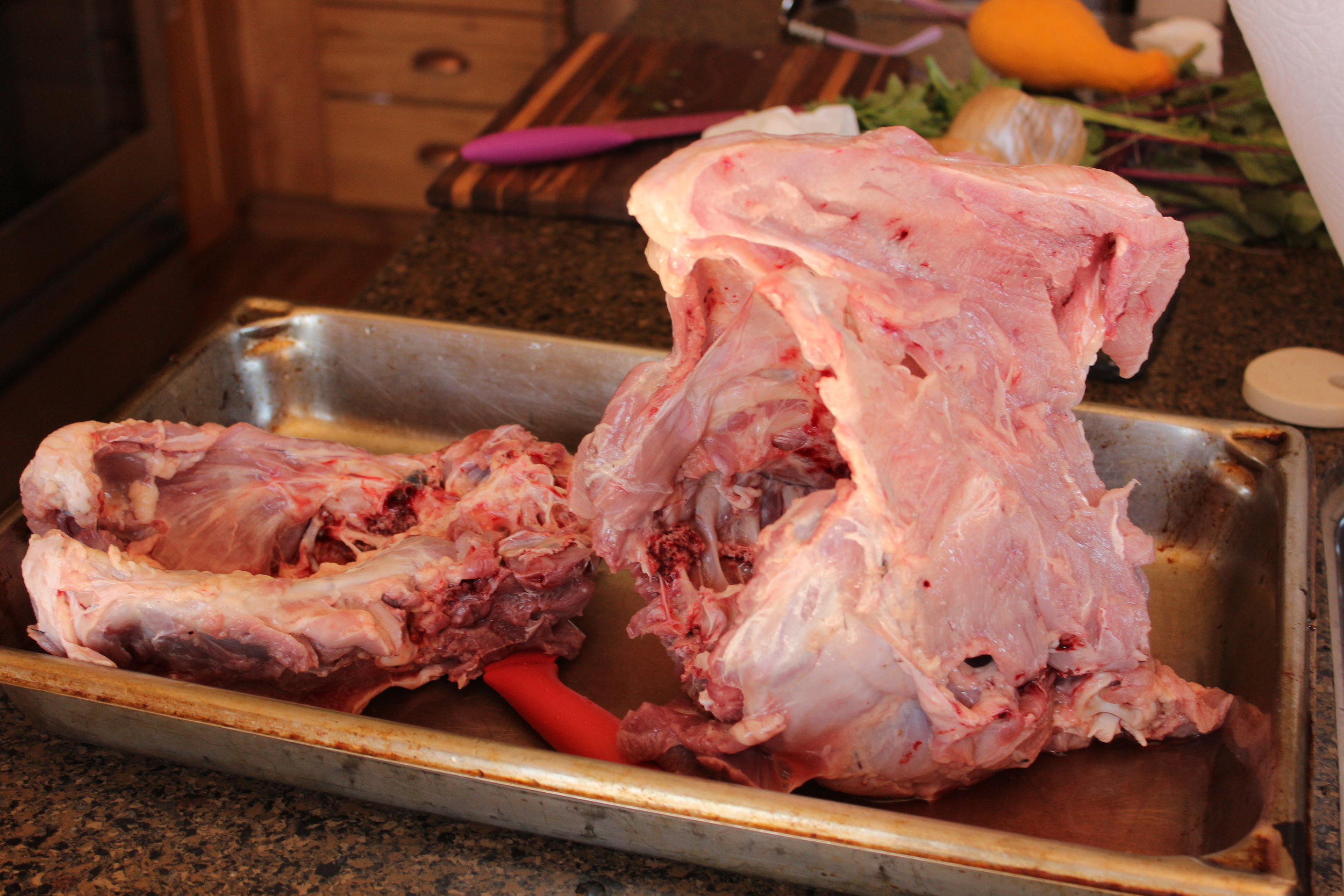 Here is the carcass of a tom turkey. We cut off the meat, vacuum packed and froze it for use later. This is what we will use to make the broth.