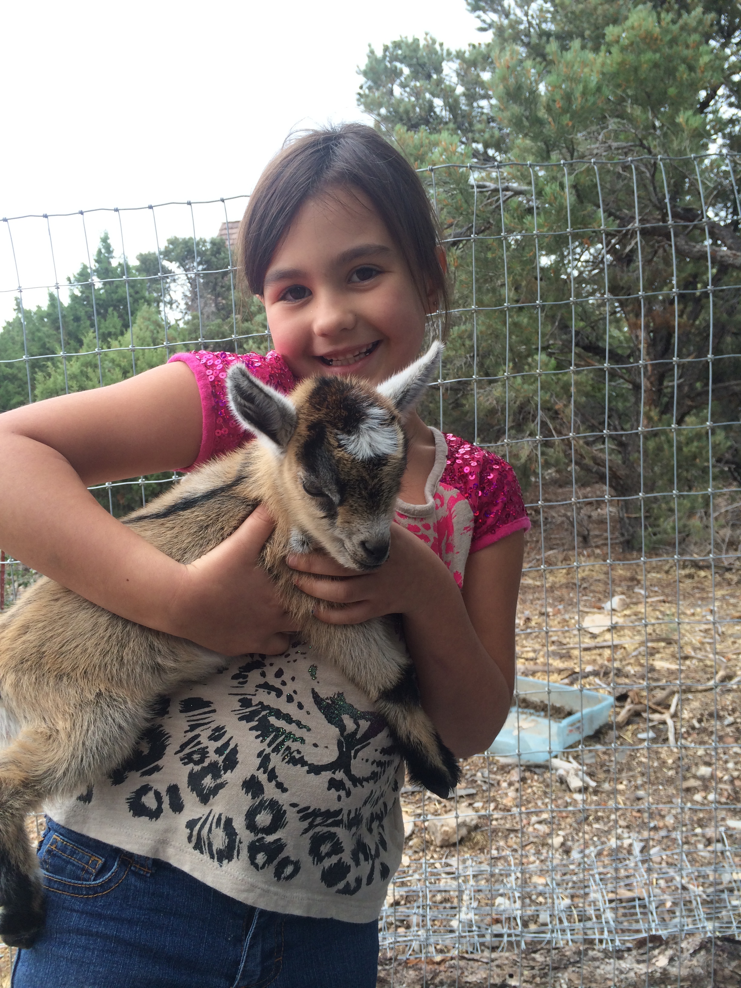 One of my grand babies with one of our goat babies...