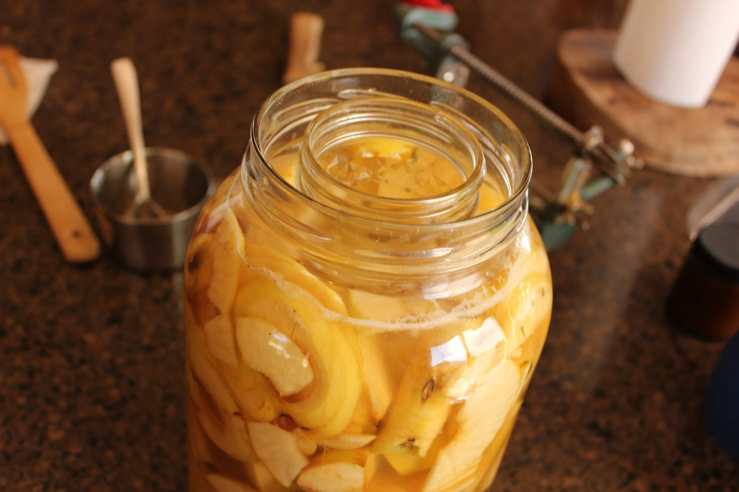 This is a gallon size jar, and after you fill it about half full of apple scraps/pieces, add 1 cup of raw honey and fill with water. I have this little jar holding the apples down.