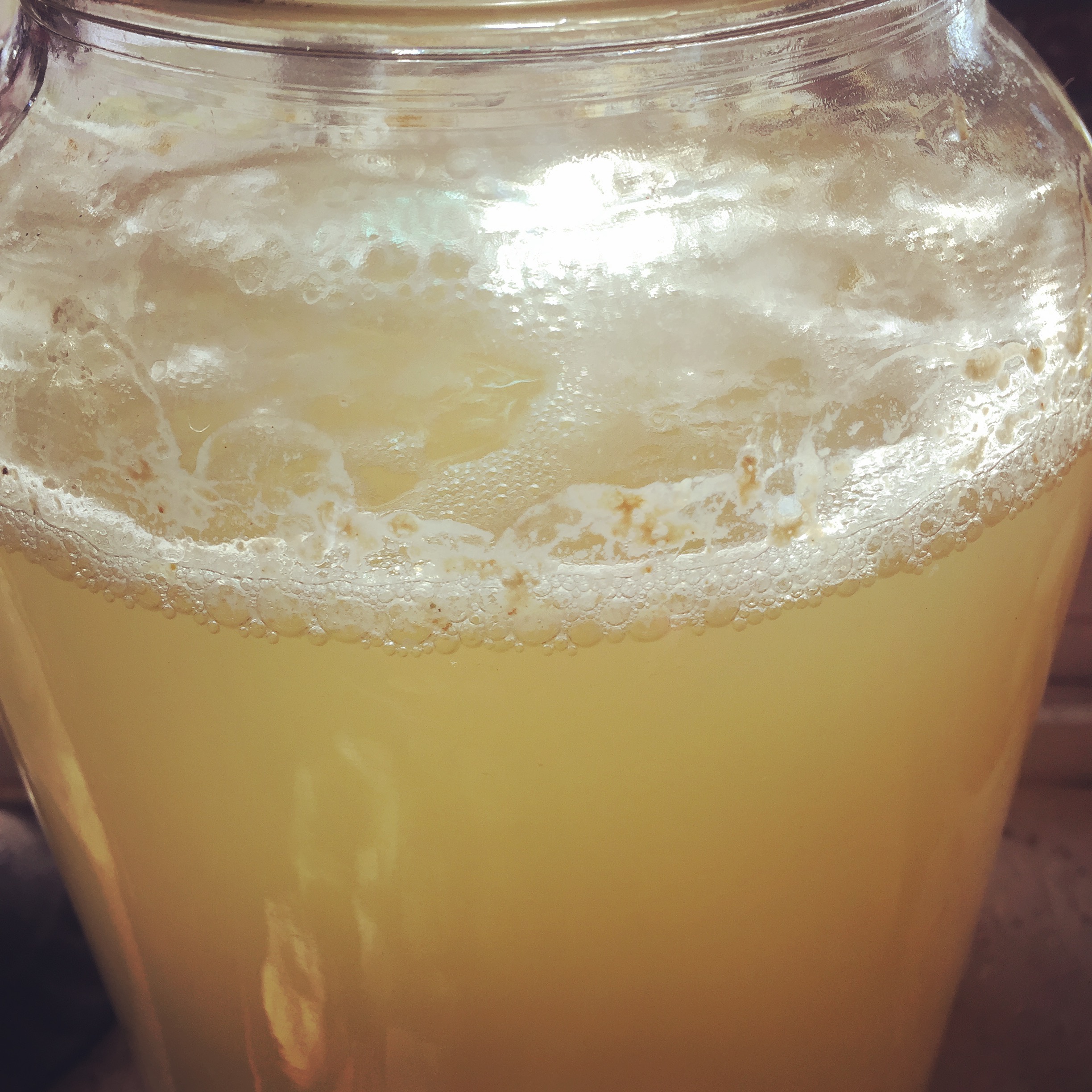Here it is about three weeks later. I strained out the apples at the two week mark, then covered again. You should be able to smell a nice vinegar smell starting!