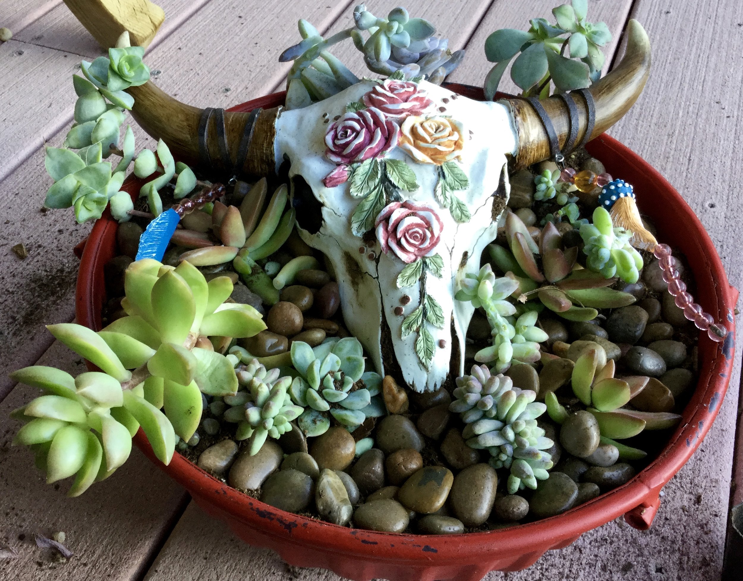 The sun is about gone....So my plan is to finish in the morning. I'll probably cut that large plant to the left, and place the stem about in inch into the soil in that bare spot. 