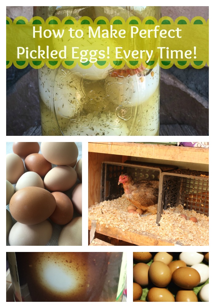 Find out how to make perfect pickled eggs! 