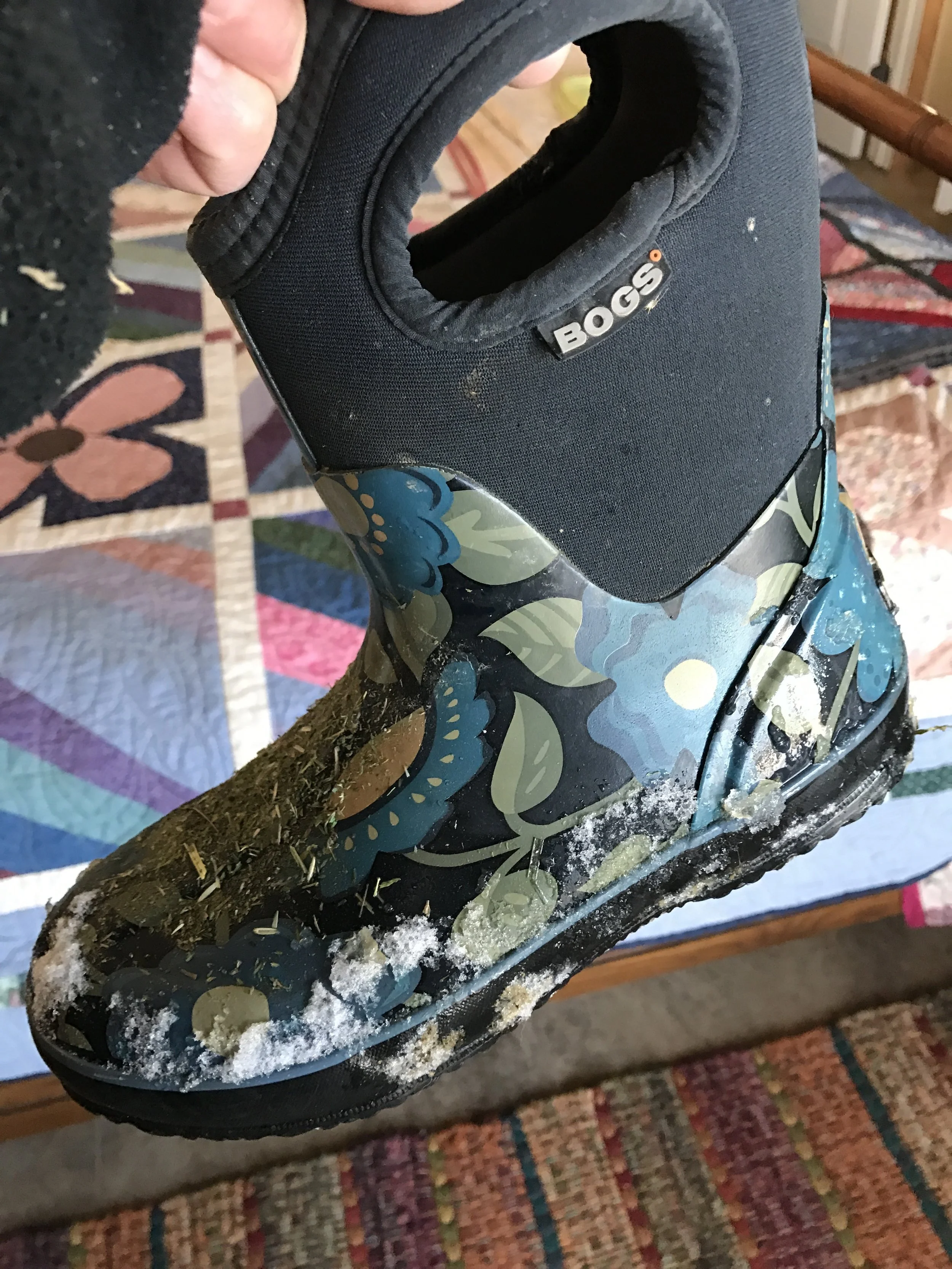 Here are my Bogs. Fresh from the chicken coop. LOVE these boots! 