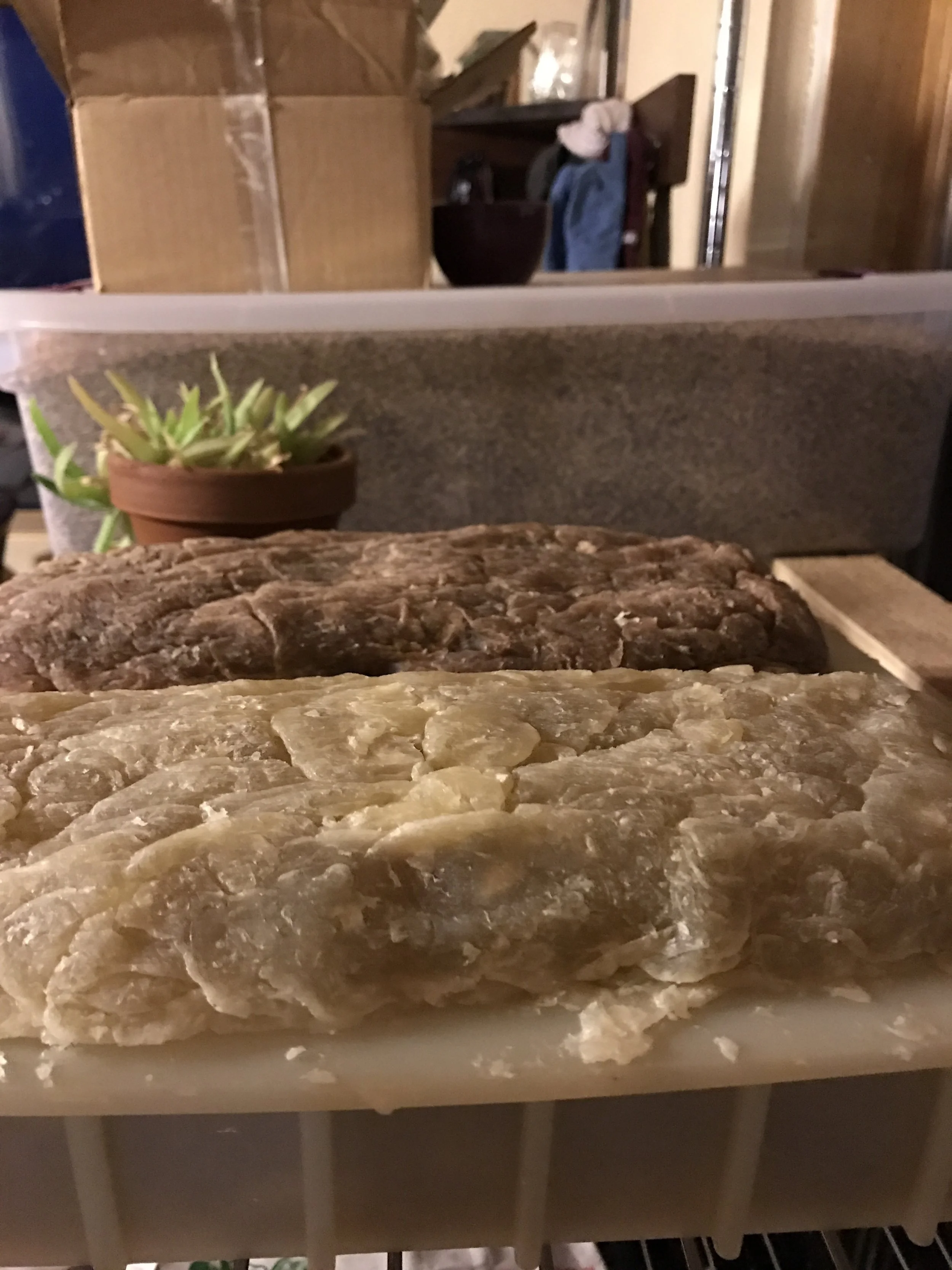 Soaps cooling down in the molds.