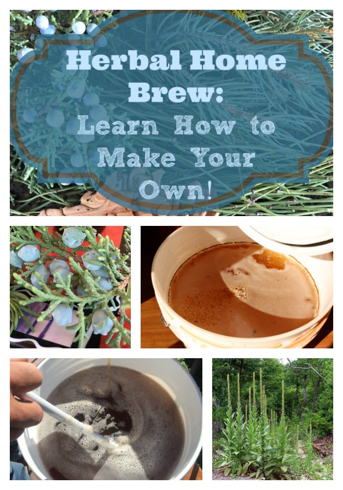 Have you been wanting to make your own beer or ale? This home brew recipe using herbs from your own area is one way to incorporate health into your life. It’s perfect for the survivalist or the preparedness fan to try, too, as you can make this beer without the fancy ingredients called for in most artisan beer recipes. #homebrew #howtomake #homemadebeer #ale #beer #herbalbeer #artisanbeer #beerrecipe #naturalbeer #prepper #survival #survivalbeer #oldways #healingharvesthomestead