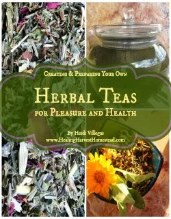 Check out my eBook, and learn to create your own tasty and health herbal tea blends!