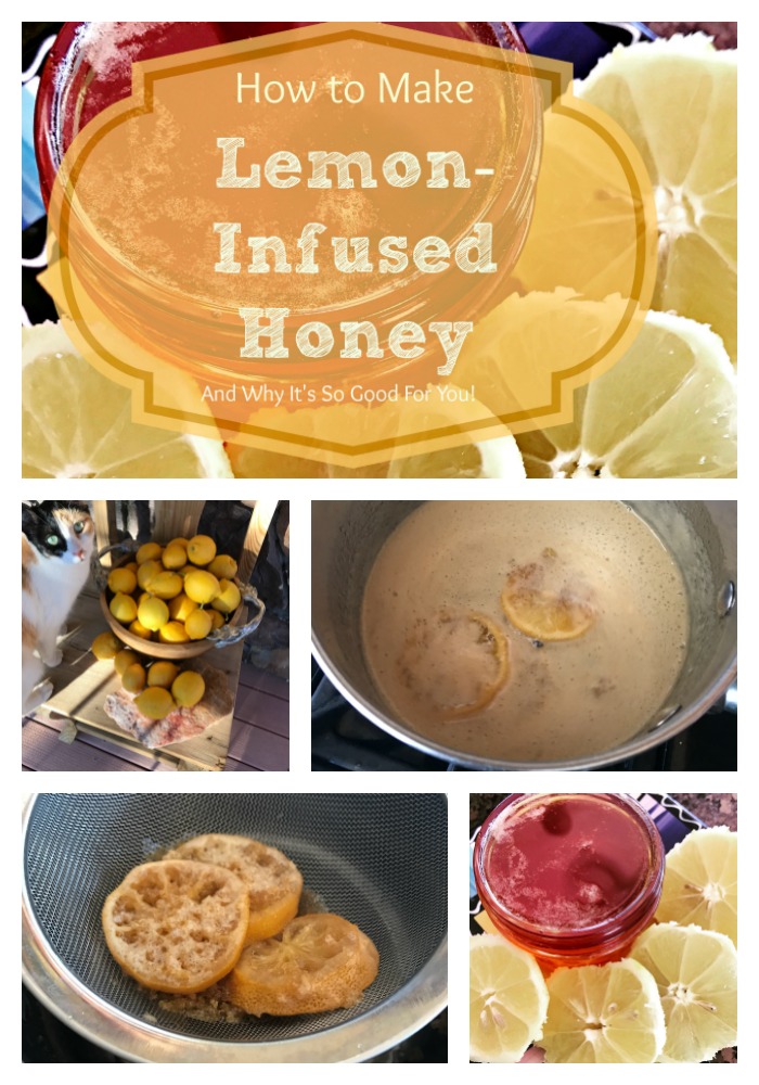 You've probably heard about drinking a cup of water with lemon and honey every day for health! Well, here is how to infuse your honey with lemon---you can put this into your water, sprinkle it on toast, use it to sweeten herbal tea...and get even more of the lemony-honey goodness!