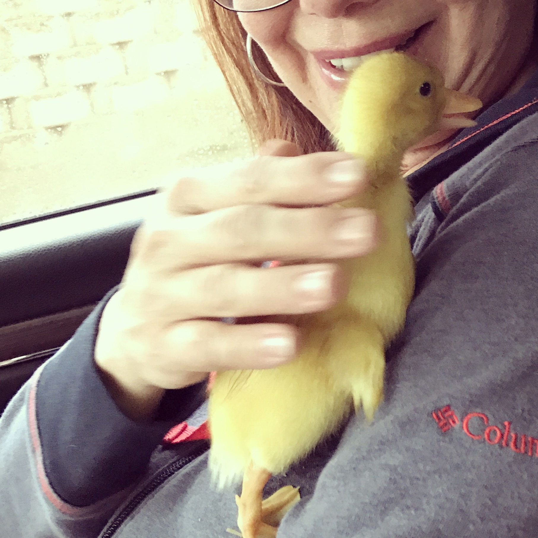 Bringing home the babies on the first day. They are just the CUTEST little things! (Kind of helps with that Empty Nest Syndrome thing, right?) 