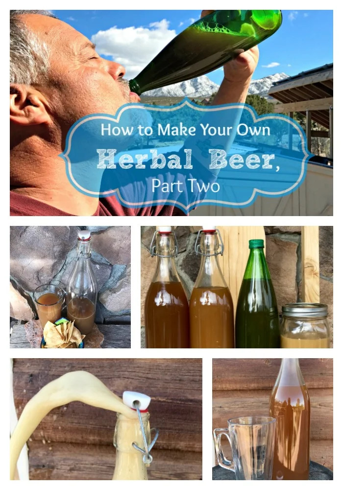 Here's Part Two of my series on how to make herbal beer (ale) at home! You'll definitely want to check out these pictures--this beer turned out GREAT! For part one, visit this article.