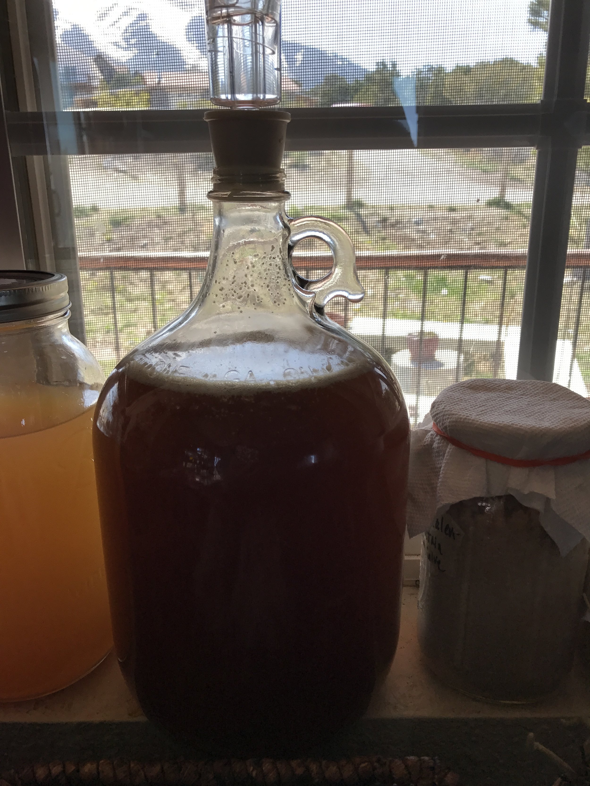 I just pitched the yeast and placed the airlock on top of the carboy!