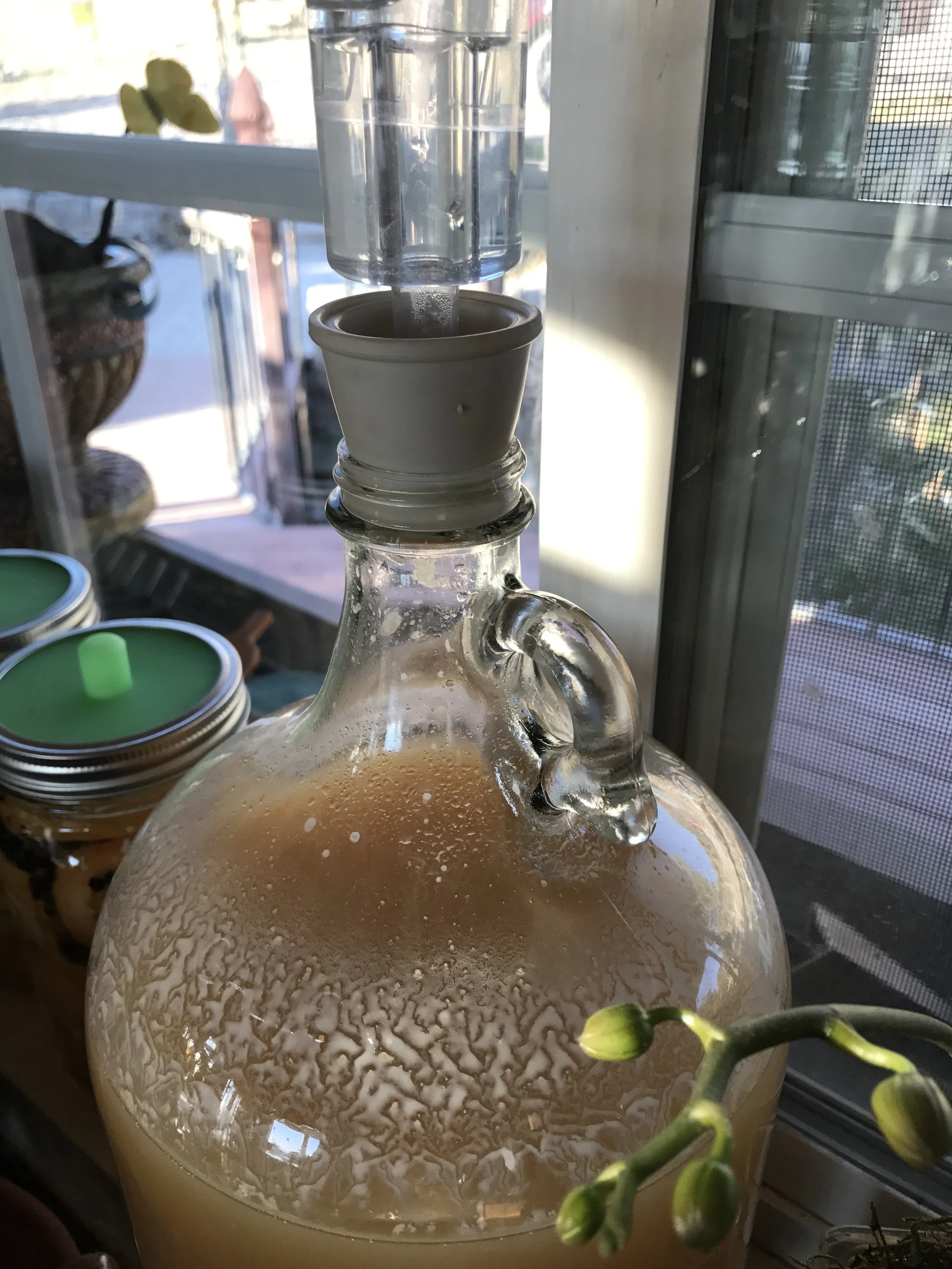Here we just pitched the yeast, gave it a swirl (don't do that---it just leaves some on the sides), and attached the bung and airlock ! Now....to wait.