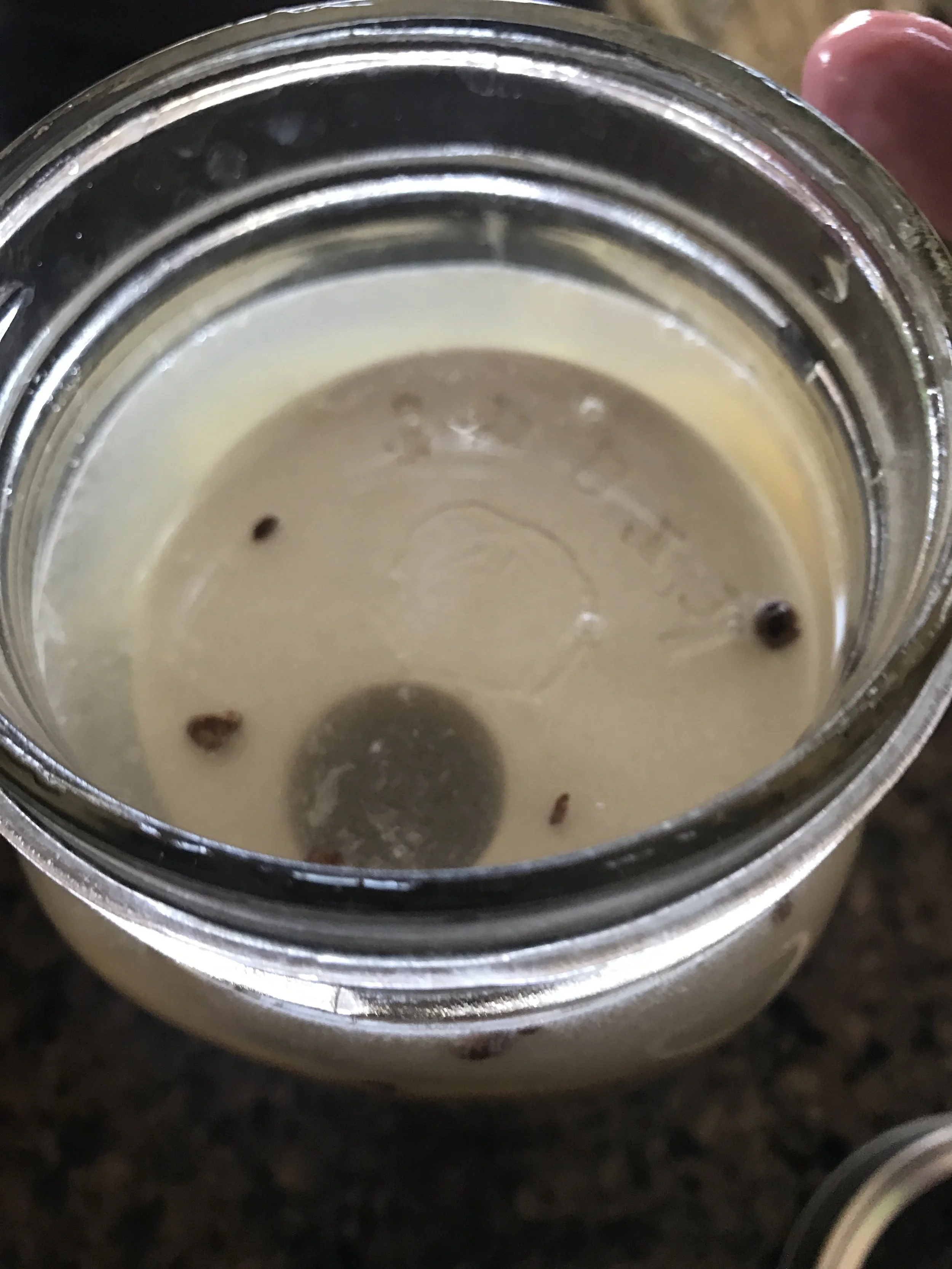 Pour in your water, starter (leftover brine from another ferment or whey), and any spices. Place your weight on top.