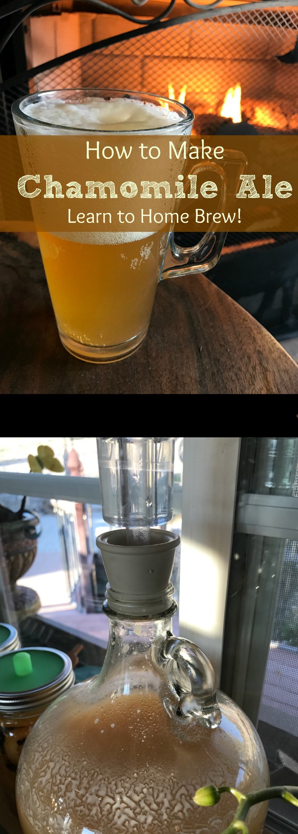 Recipes for Chamomile Ale have been around for hundreds of years! Learn how to make your own herbal Chamomile Home Brewed Beer.