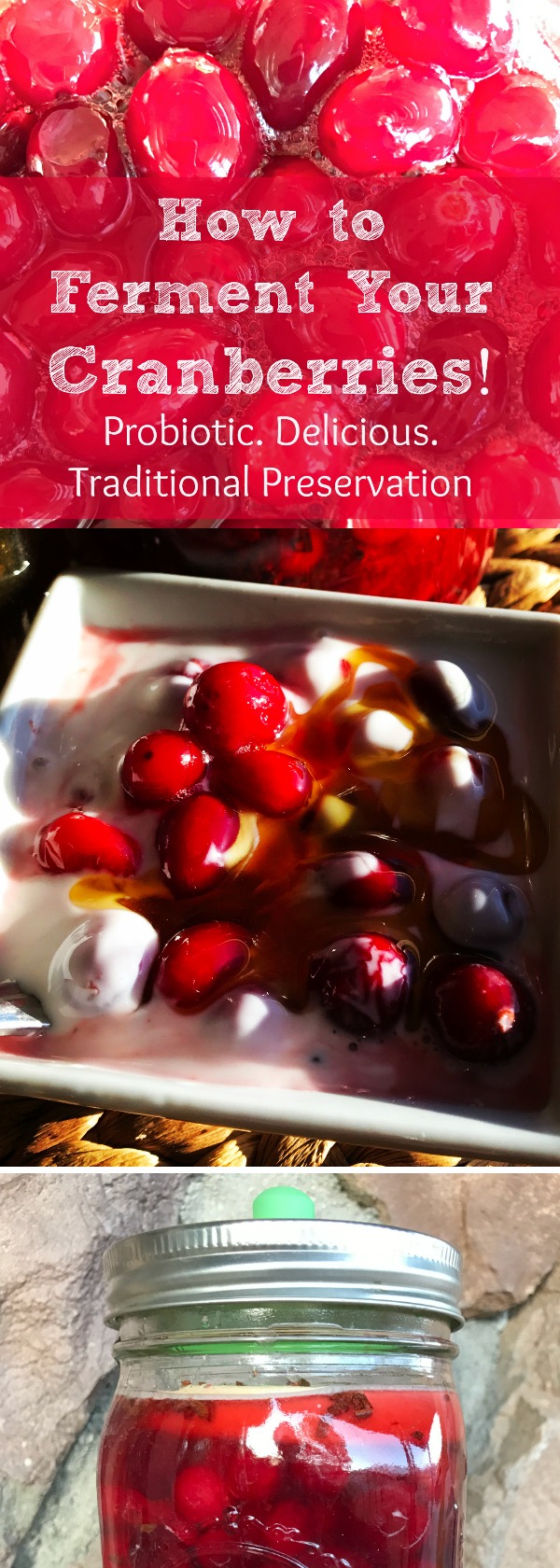 I found a bag of cranberries hiding away in my freezer recently....so I decided to go ahead and ferment them! Here's how I fermented my cranberries, how they turned out (delish!), and also how I used these red beauties. You’ll love this easy, unique, healthy recipe for using your cranberries in a ferment! #fermentedcranberryrecipe #howtoferment #healingharvesthomestead