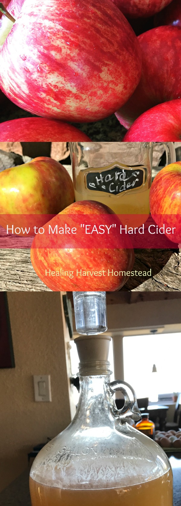 It's "EASY" to make hard apple cider! Here's how we made our first batch and how it turned out! 