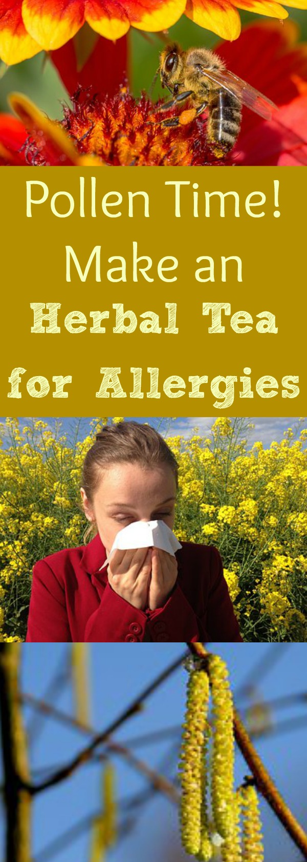 It's officially allergy season, and the pollen is rockin' & rollin' out there-- causing sinus inflammation and stuffy runny noses everywhere! Here's an herbal tea you can make for your family that will soothe and calm those allergies! #allergytea #teaforallergy #decongestant #getridof #sniffles #healingharvesthomestead