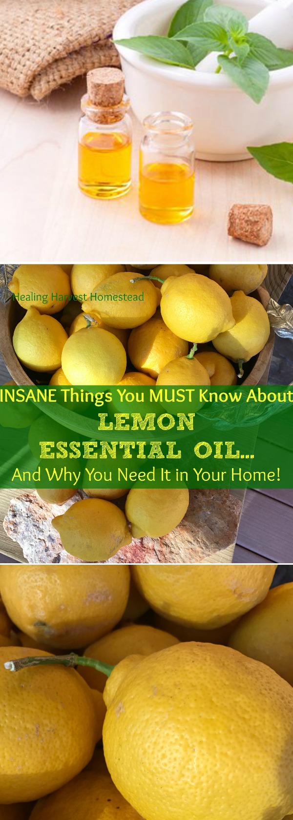 Lemon Essential Oil smells happy and just plain wonderful. But besides the many aromatherapy benefits, it has multitudes of additional uses! It's also a relatively inexpensive essential oil. Find out why you need it in your home!