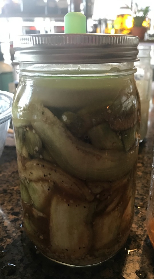 Ready to sit and ferment! You can see the weight holding down the eggplant, as well as the silicone airlock on the top. Easy Peasy! 