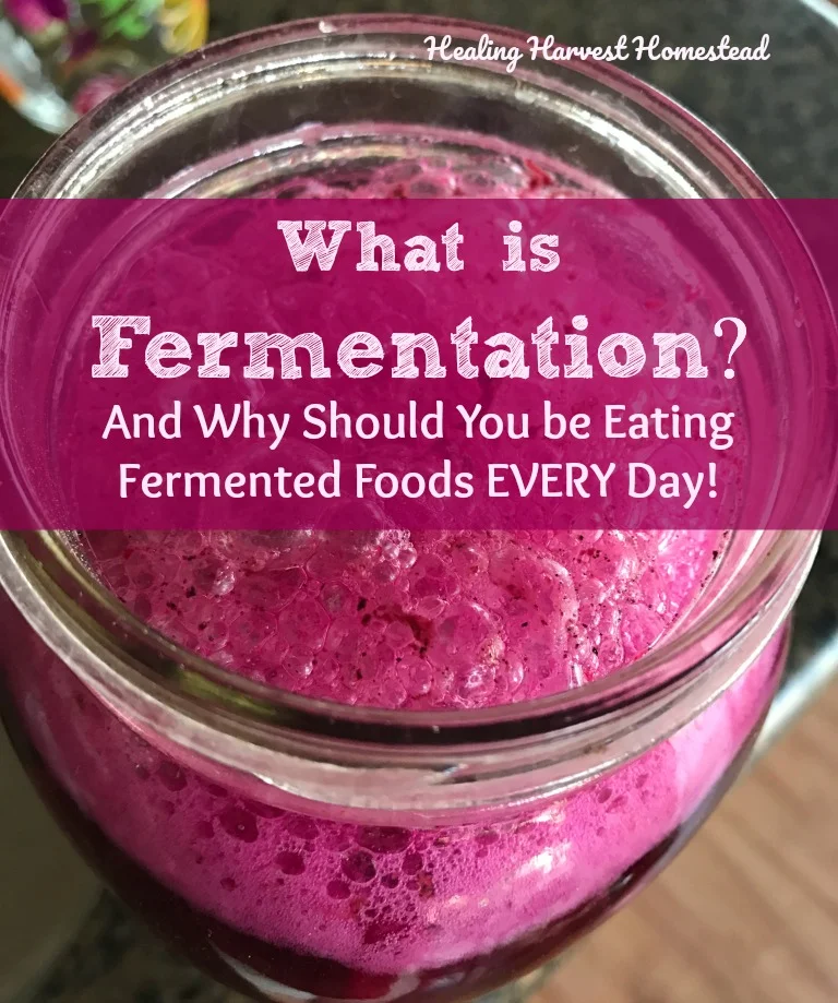 Why You Should be Eating Fermented Foods Every. Single. Day. (Plus: What is a Fermented Food?)