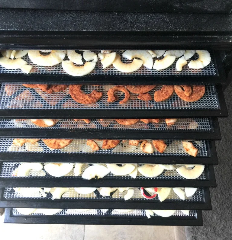 Ready to go in the dehydrator!