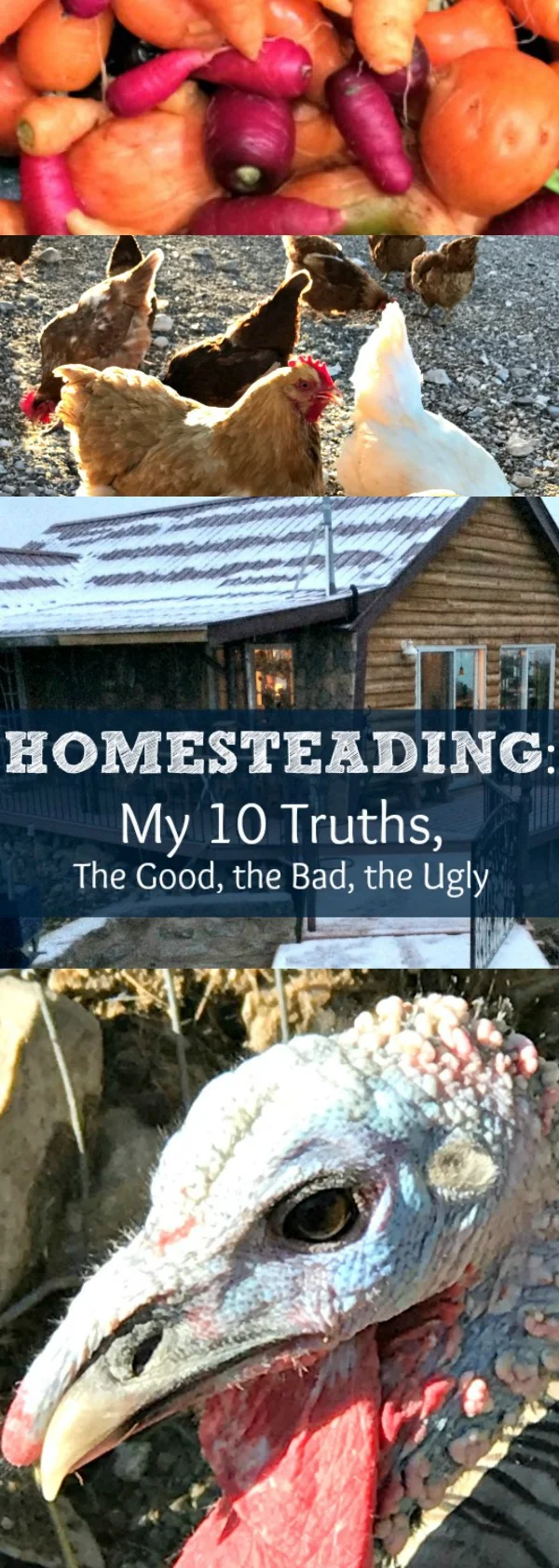 Homesteading is hard to define. It means different things to different folks. Here is my definition of homesteading. What is homesteading? How do you do it? Where can you homestead? Find out my truths about the homesteading life!
