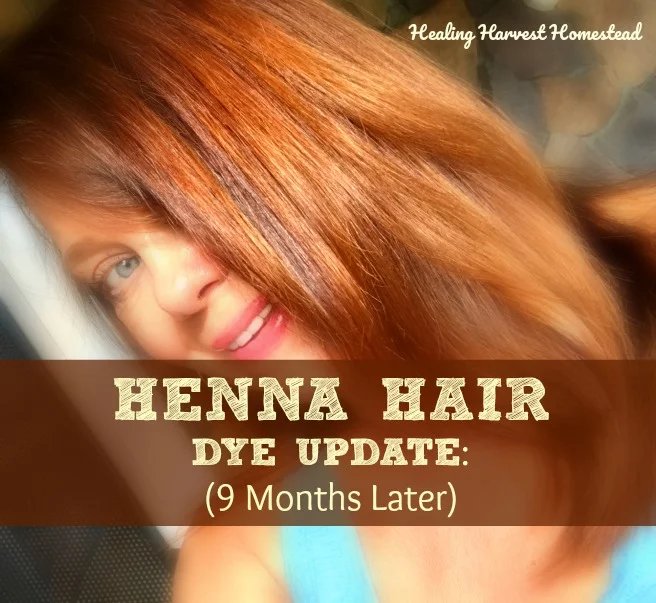 How to Dye Your Hair Naturally with Henna (Plus, an Update About Henna ...
