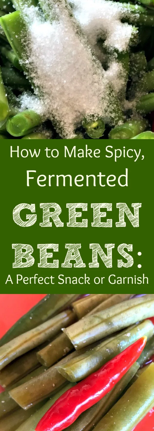 Have too many green beans to use up? Need to use them fast? Don't feel like canning? Here's my recipe for Spicy Fermented Green Beans! Fermentation is a great option as a food preservation method. Here's how to ferment green beans for a delicious snack or addition to your cooking!