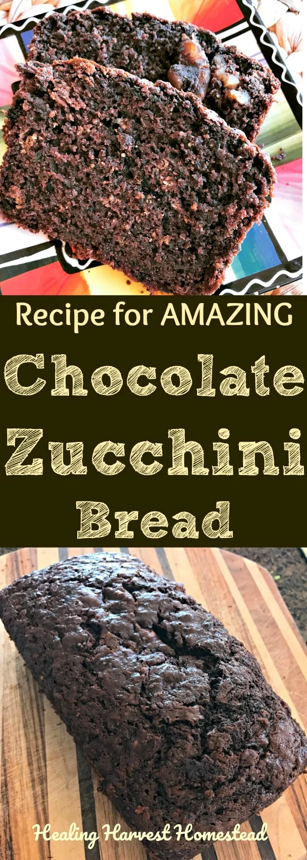 Got too much zucchini? Make zucchini bread! Here's a recipe for my chocolate zucchini bread that is AMAZING! It's also easy. Delicious, healthy recipe for chocolate zucchini bread!