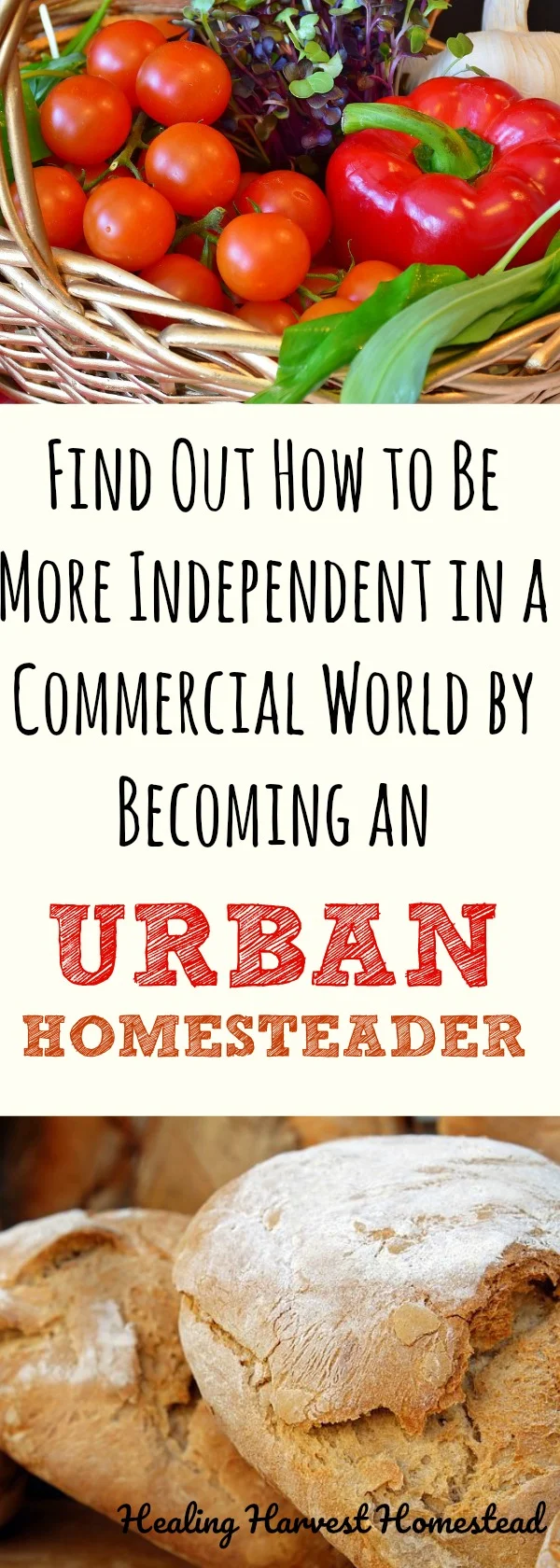 What on earth is Urban Homesteading? Is it even a thing? Find out what urban homesteading is, how to become an urban homesteader, and how to live a more self-reliant life no matter where you live. Can you be self-sufficient in the big city? Yes! Find out how to become more independent and inter-dependent! #urban #homesteader #howtohomestead #howtostart #homesteading #healingharvesthomestead