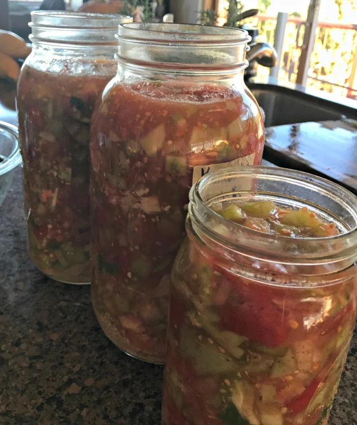 Here are all the ingredients for the Green Tomato Fermented Salsa---ready to go!