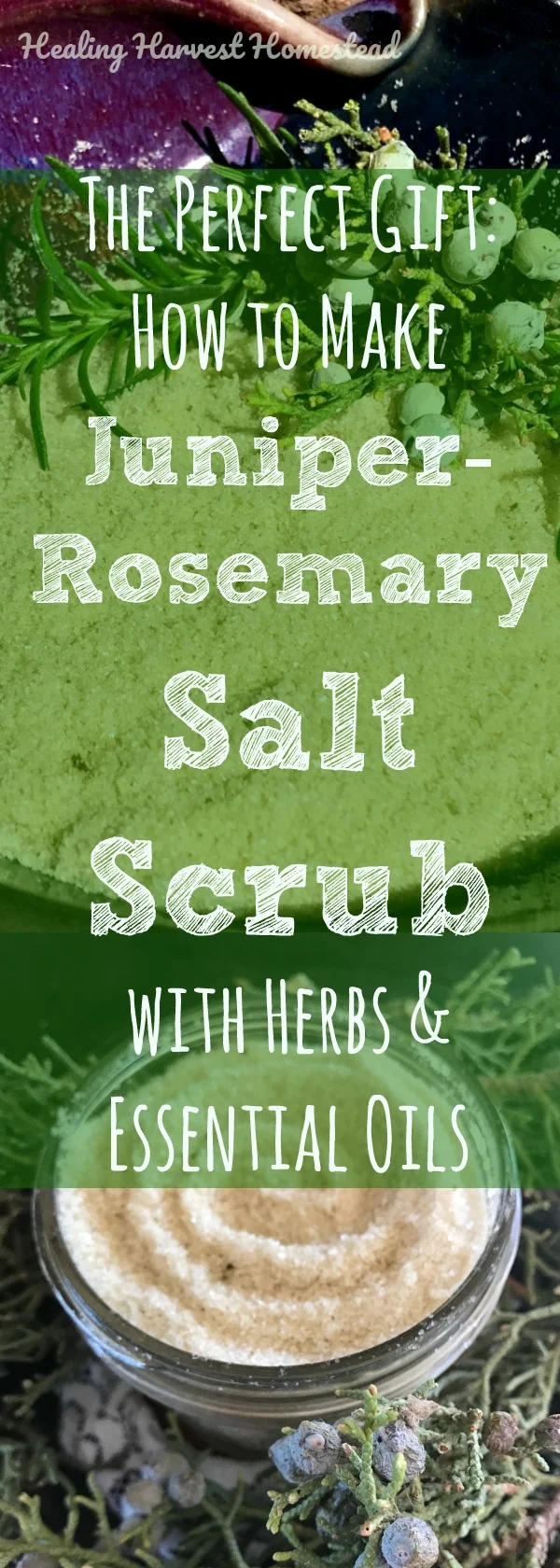 Are you getting ready for the holidays and wracking your brain about what kind of gift you can make easily that your friends will just love? Making a natural homemade exfoliating salt scrub is your answer! This is a recipe for an amazing clean and refreshing herbal salt scrub using essential oils. You'll love it, and so will your friends! Find out how to make a Juniper-Rosemary Herbal Salt Scrub to keep or give! #herbalsaltscrub #healingsaltscrub