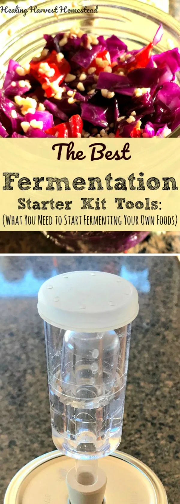Have you been thinking about making your own fermented foods? It's SO easy and will save you a ton of money if you are currently buying raw fermented foods for your health. Plus, fermenting your own foods is delicious! There is a hard way to start...and an easy way. Click here to find out the best fermenting starter kit that's available right now. It's a great gift for yourself or a precious friend! I've included a couple great fermentation gift ideas too! 