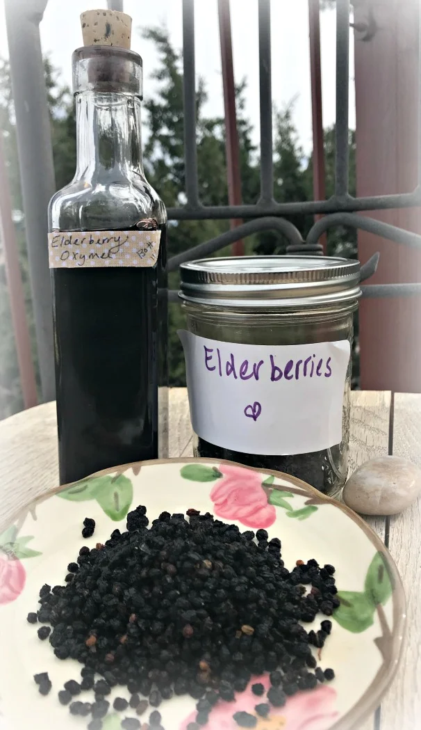 Here are dried elderberries! They are ready to go into a new Oxymel...ready in about four weeks, using the slow method. Hopefully, I won't need it, but I'll be using it anyway because it's just pretty darn delicious!