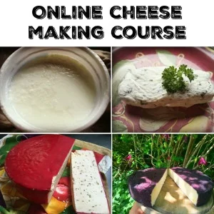Click here to get the Cheese Making Course!