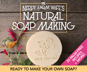 Want to make your own soap? Find out all the details with Jan Berry's recipes and excellent directions for natural cold process soap!