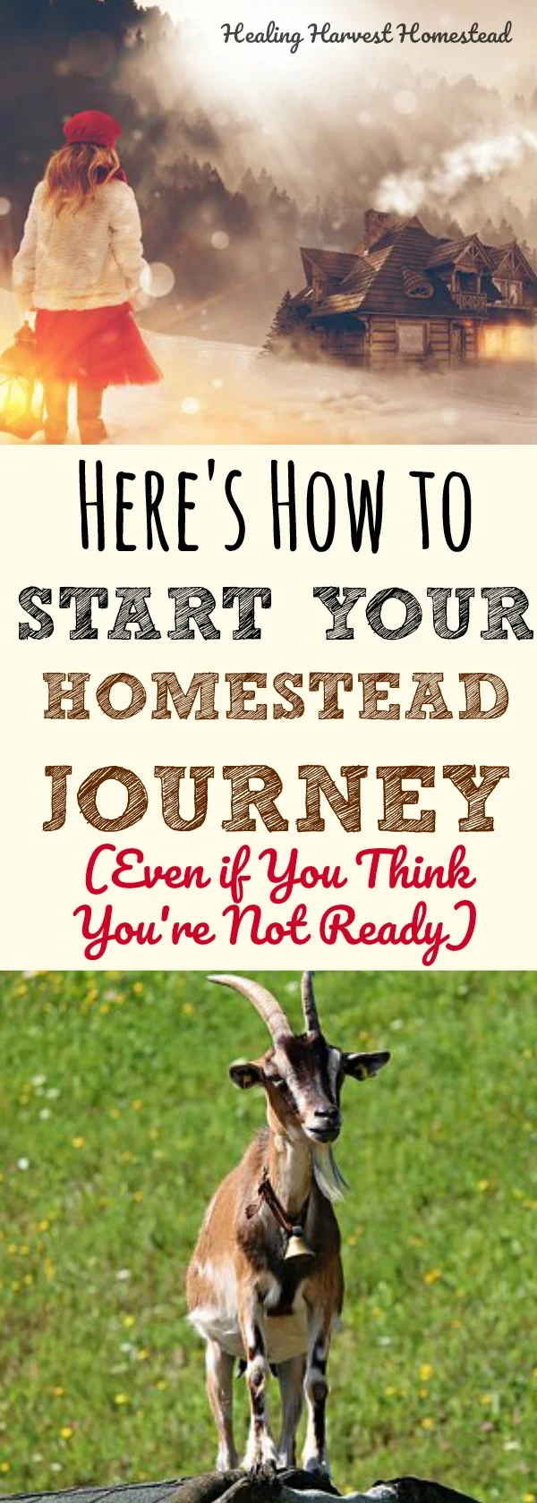 Are you homestead dreaming? Do you want to simplify your life? Do you want to live more traditionally and be more self-sufficient? Here's how we began our own homestead journey a few years ago...And here is how you can start your own homesteading life, no matter where you live! Find out the step-by-steps and directions to get started on your homestead lifestyle. 