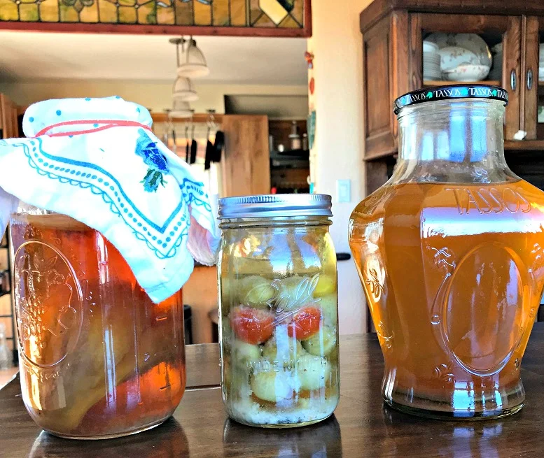 Three different ferments going on in my kitchen, among others! Kombucha , lacto-fermented green tomatoes, and raw apple cider vinegar !